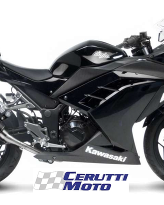 Scarico Leovince GP CORSA MATTE Kawasaki 250 / 300