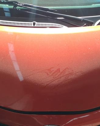 TOYOTA AYGO 2005 COFANO ANTERIORE