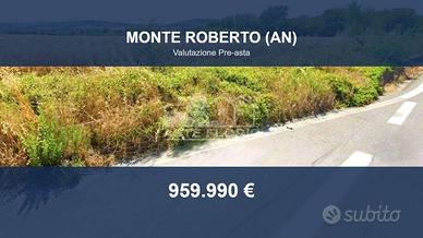 Immobile in asta di 884464 m² a Monte Roberto