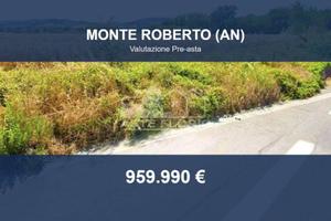 Immobile in asta di 884464 m² a Monte Roberto