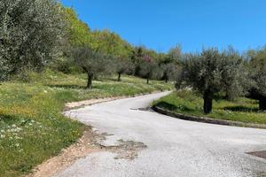 27 Ulivi, Rudere e Bosco - Pozzilli
