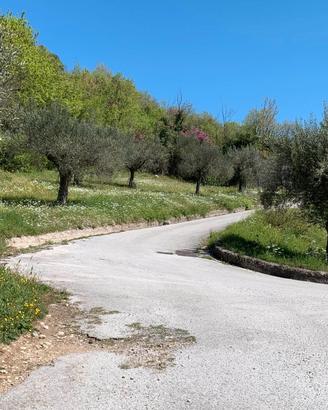 27 Ulivi, Rudere e Bosco - Pozzilli