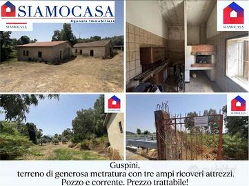 Ampio terreno con diversi ricoveri attrezzi