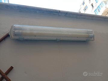 2 neon luce led 