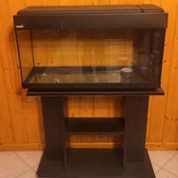 Acquario per Pesci Stemar 