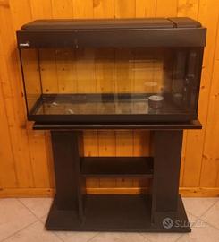 Acquario per Pesci Stemar 