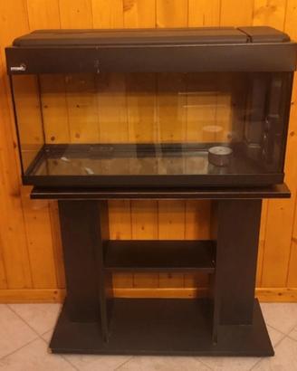 Acquario per Pesci Stemar 