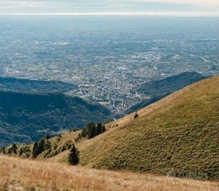Terreno a prato e bosco