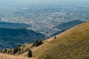 Terreno a prato e bosco