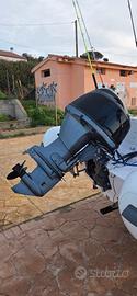Motore Fuoribordo Selva Dorado 40/60 anno 2021