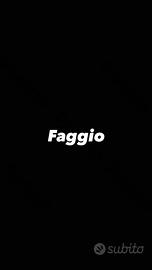 Parquet Faggio e Robinia