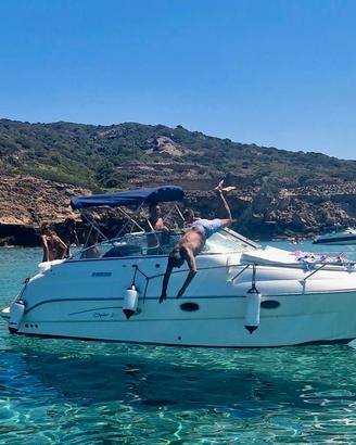 Sessa Oyster 25