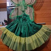 vestito di carnevale farfalla