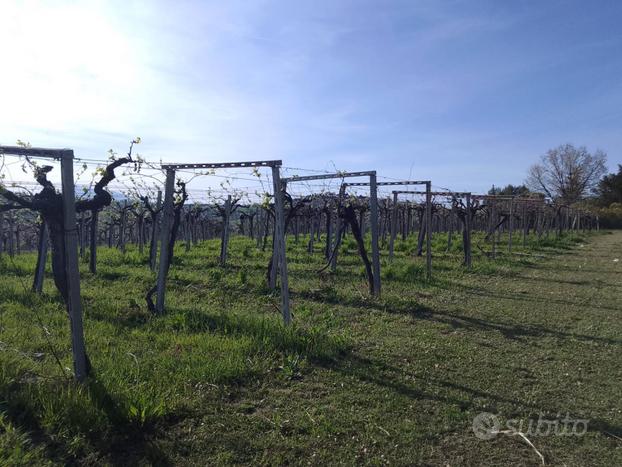 Terreno Agricolo - Giulianova