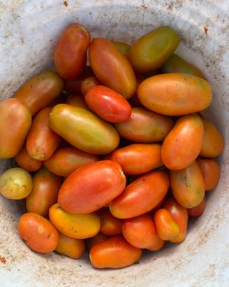 Pomodoro