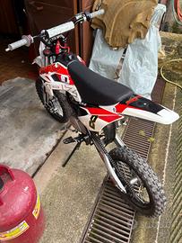 Altro Altro modello - 2019