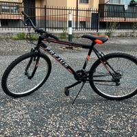 Bicicletta singola o in coppia (80/150)