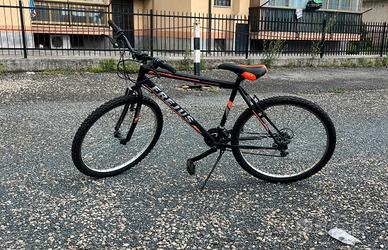 Bicicletta singola o in coppia (80/150)