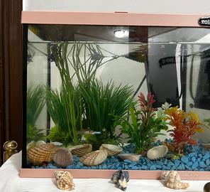 Acquario con pesci