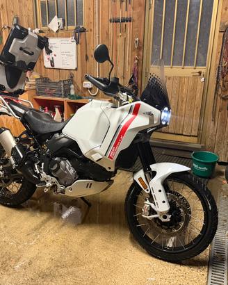Ducati desert x unico proprietario
