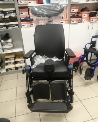 Carrozzina per disabile