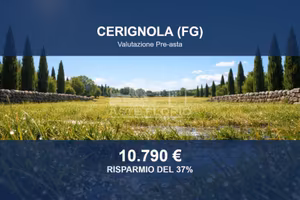 Immobile in asta di 9798 m² a Cerignola