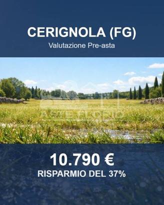 Immobile in asta di 9798 m² a Cerignola