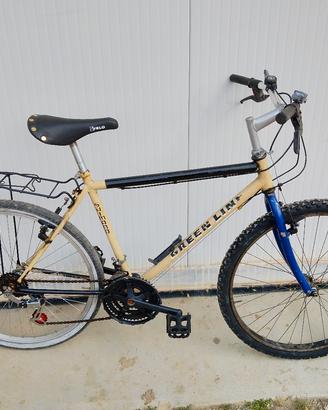bicicletta 