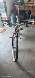 Bicicletta Bimba 