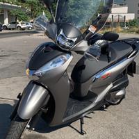 Sh 300 sport