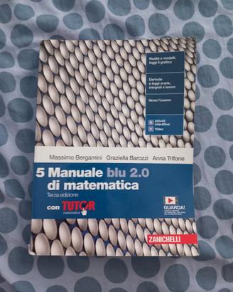 Manuale blu 2.0 di matematica 5