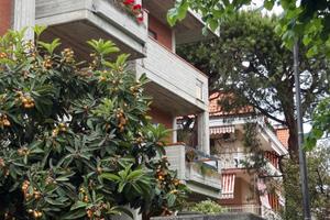 Casa nel verde vicina al mare e centro