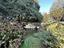 Immagine 26