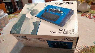 voice Echo VE-1