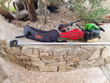 Scuotitore olive active m60