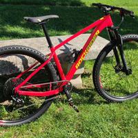 ROCKRAIDER XC 120 taglia M Ruote 29"