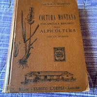Cultura Montana - APICOLTURA