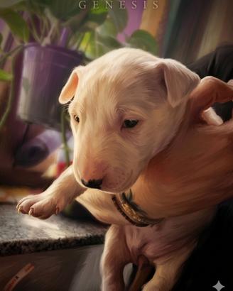Cartello Attenzione Al Cane Personalizzato Bull Terrier - Targa 3D Da Esterno 30x15cm Con Viti, Prodotto In Francia - 3