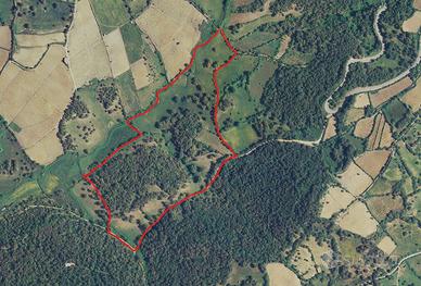 Terreno con Sugherete - per seminativo e pascolo