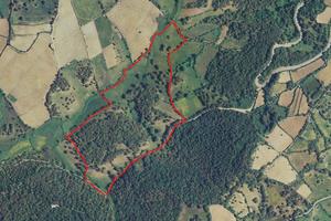 Terreno con Sugherete - per seminativo e pascolo