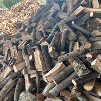 Legna da ardere secca