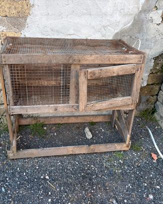Gabbia per quaglie