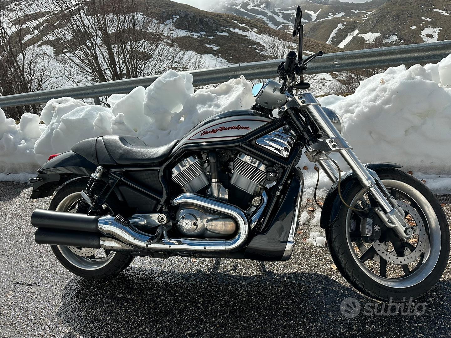 Harley Davidson Vrod Street Rod VRSCR - Moto e Scooter In vendita a Bari
