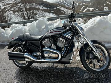 Harley Davidson Vrod Street Rod VRSCR