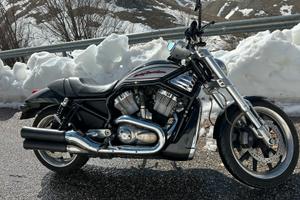 Harley Davidson Vrod Street Rod VRSCR
