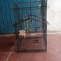 gabbia per pappagalli parrocchetto