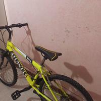 BICI  MOUNTAIN 