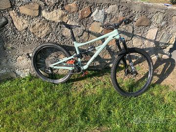 specialaized status taglia L 