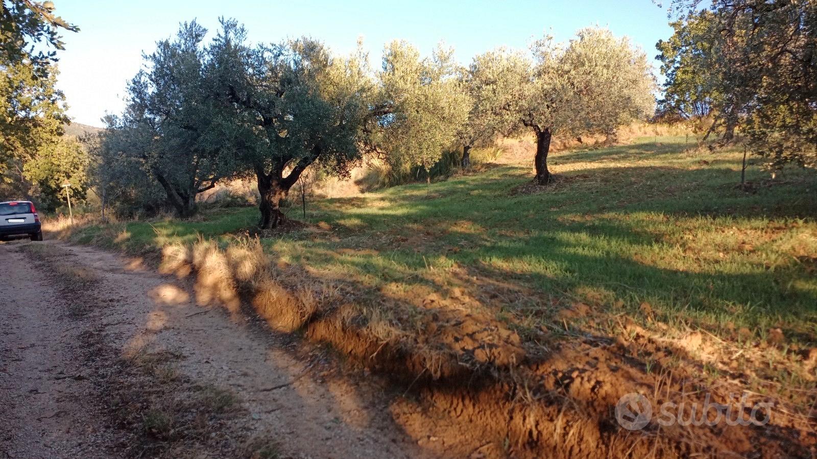 Terreno agricolo - Vista 4