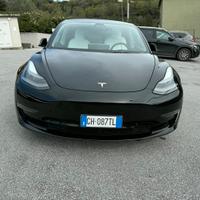 Tesla Model 3 performance 2021